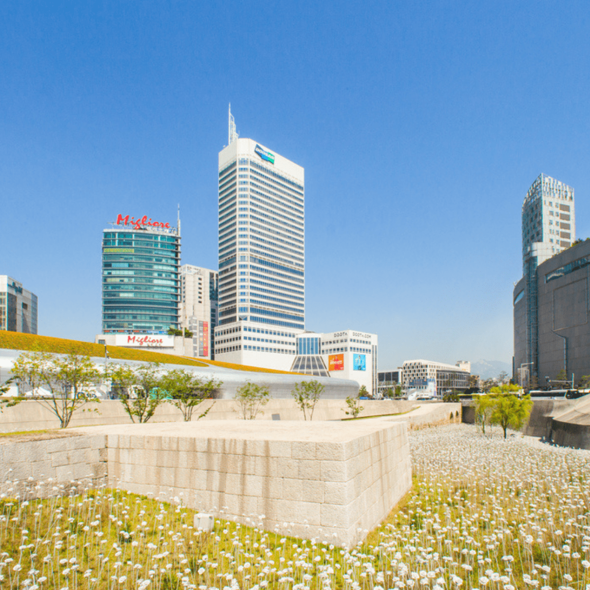 동대문디자인플라자 - 图片 2